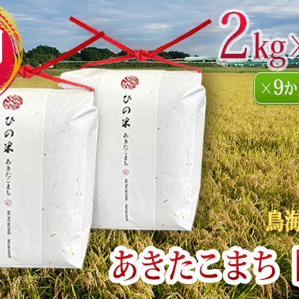 《定期便》4kg×9ヶ月 秋田県産 あきたこまち 玄米 2kg×2袋 神宿る里の米「ひの米」（お米 小分け）