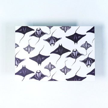 【Manta】魟魚 水彩插畫 花樣明信片 手帳 魔鬼魚 海洋生物