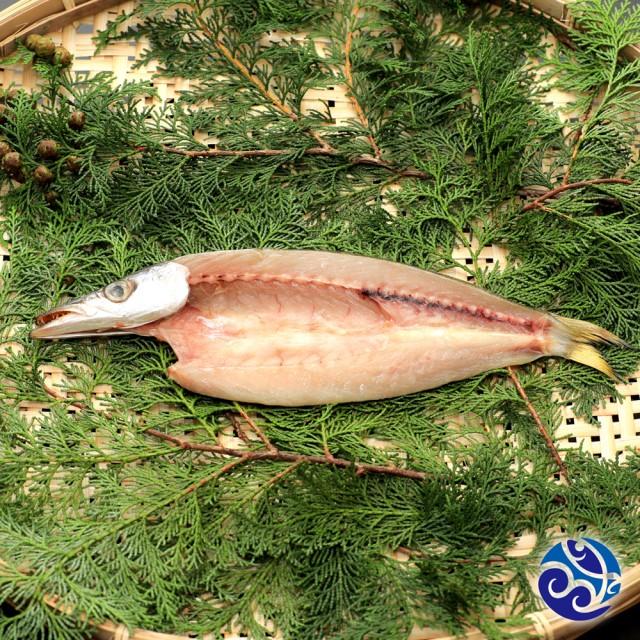 かます干物 12枚(1枚約100g)こだわりの手開き、地元でも愛され長く干物づくりを行っています