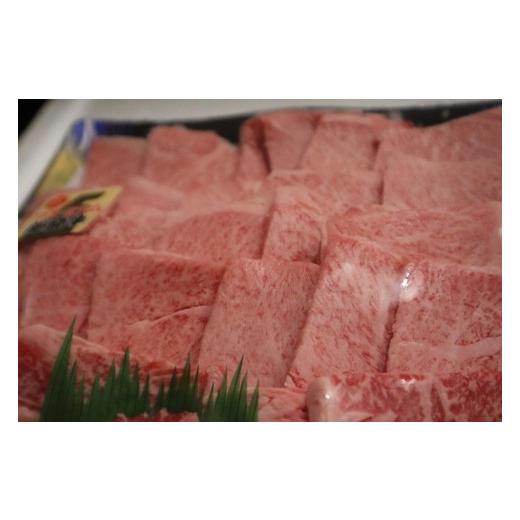 ふるさと納税 石川県 能登町 焼肉用厳選部位1kg