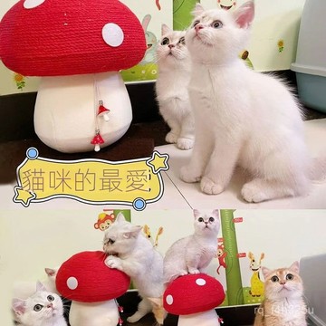 【限時特賣】貓抓闆  []貓咪用品立體貓爬貓抓闆耐磨不掉屑劍麻玩具大號貓爪闆立式磨爪器