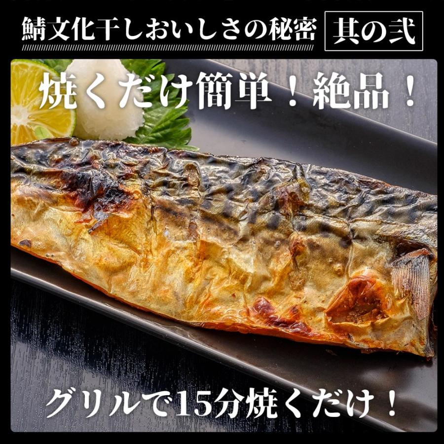 鯖の文化干し 6枚 1kg   ノルウェー産 トロ鯖