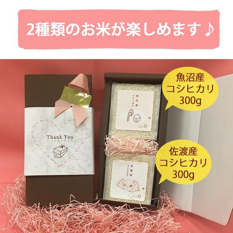 令和5年産  まごころキューブセット2 真空米2個セット 600g お米 送料無料 魚沼産コシヒカリ 佐渡産コシヒカリ プチギフト 新潟 お歳暮