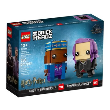 LEGO 樂高 #40618 小仙女&金利 1個  小仙女&金利 多色  1盒