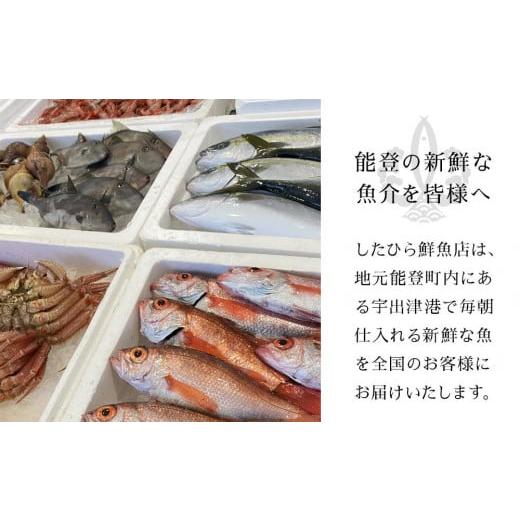 ふるさと納税 石川県 能登町 能登の鮮魚を捌いてお届け！旬の刺身盛り合わせセット（2人前）