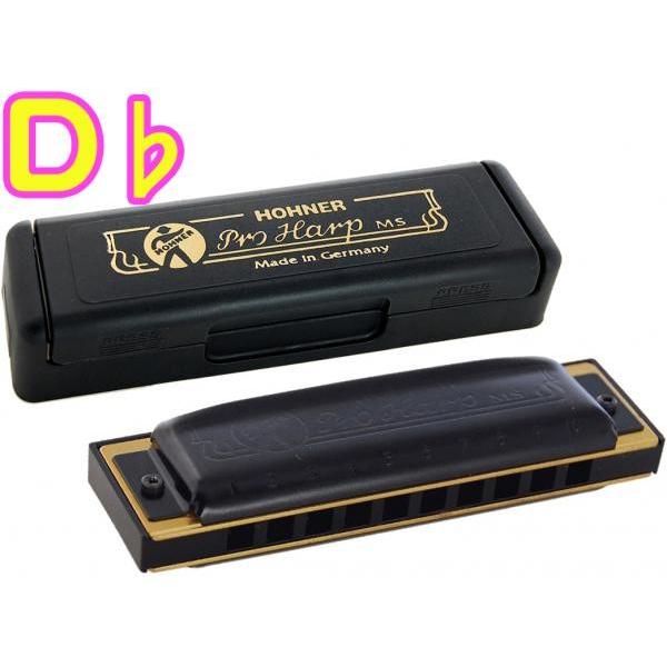 HOHNER プロハープ A 10穴 ハーモニカ Pro Harp MS ブルースハープ テンホールズ ブラック 樹脂ボディ