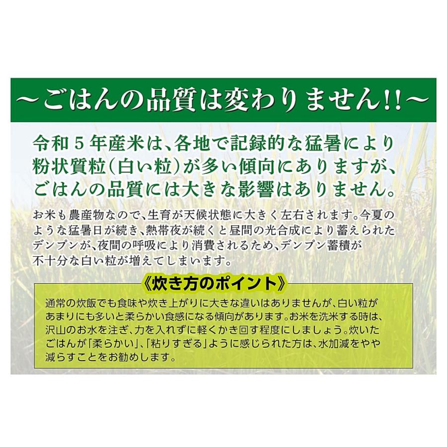 新米　田中米穀　新潟長岡産　こしひかり　5kg　　新潟県産　コシヒカリ　白米　ご飯　令和5年度産