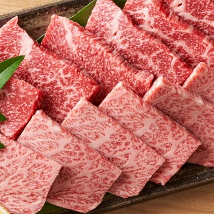 博多 和牛 焼肉 セット 500g A4～A5 配送不可：離島