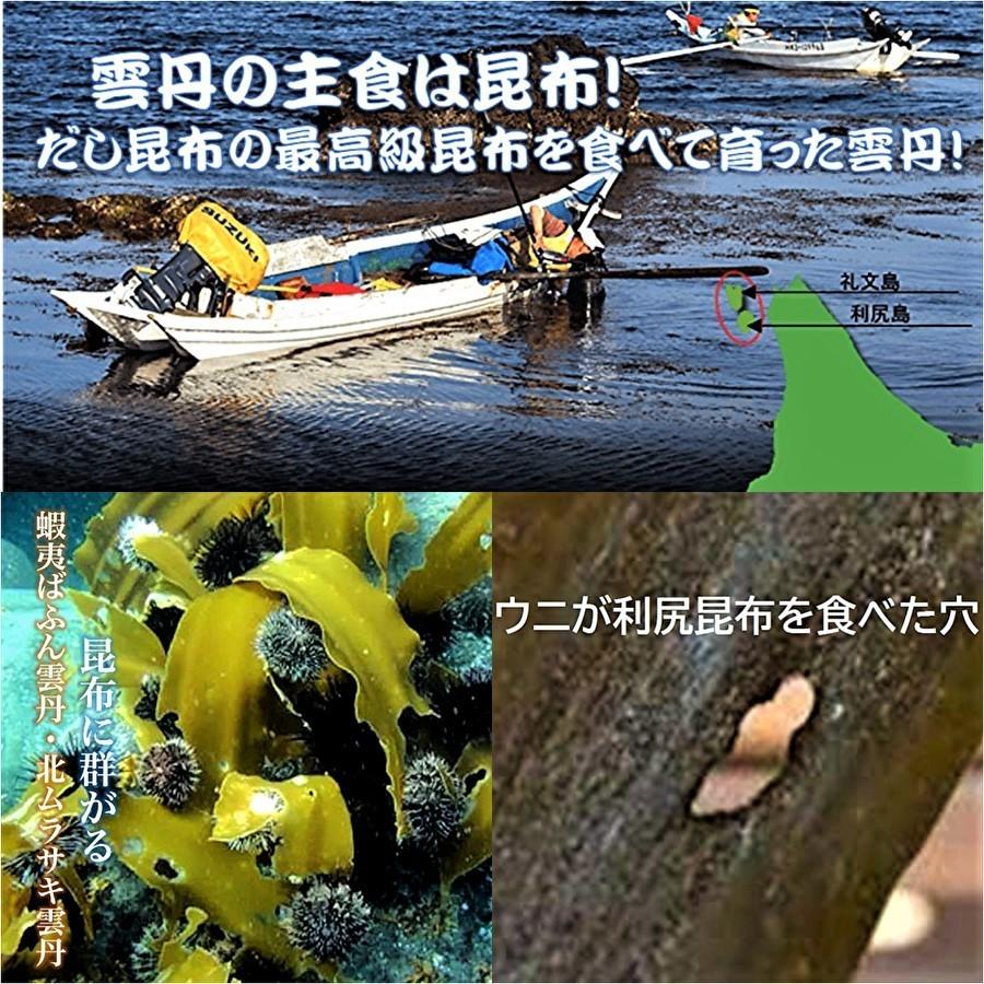 利尻島産 甘塩粒雲丹 と いくら醤油漬  ケース入 ギフト