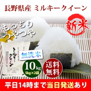 新米 米 無洗米 10kg 長野県産 ミルキークイーン 1等米 5kg×2袋 令和5年産 お米 10kg 送料無料 北海道・沖縄配送不可 即日発送 クーポン