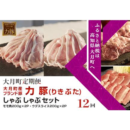 ふるさと納税 高知県大月町産ブランド豚 力豚しゃぶしゃぶセット 計12回 高知県大月町