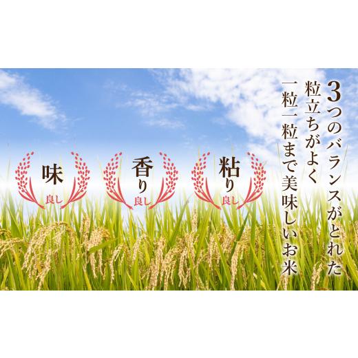 ふるさと納税 石川県 小松市 小松産こしひかり精米5kg