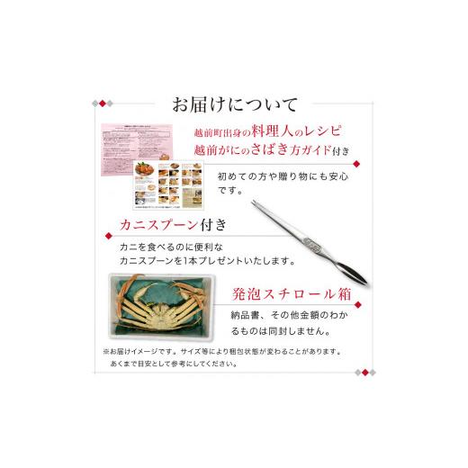 ふるさと納税 福井県 福井市  越前ガニ（オス） ボイル済（600〜700g）×1杯【 越前がに ズワイガニ ずわいがに 越前 かに 越前ガニ 茹でがに…