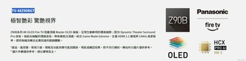 (不含視訊盒)TV-48Z90BGT