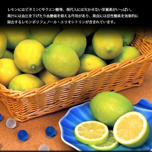 国産 レモン 整品 10kg 生レモン 瀬戸内産 防腐剤なし 皮まで食べられる 一部地域 送料無料