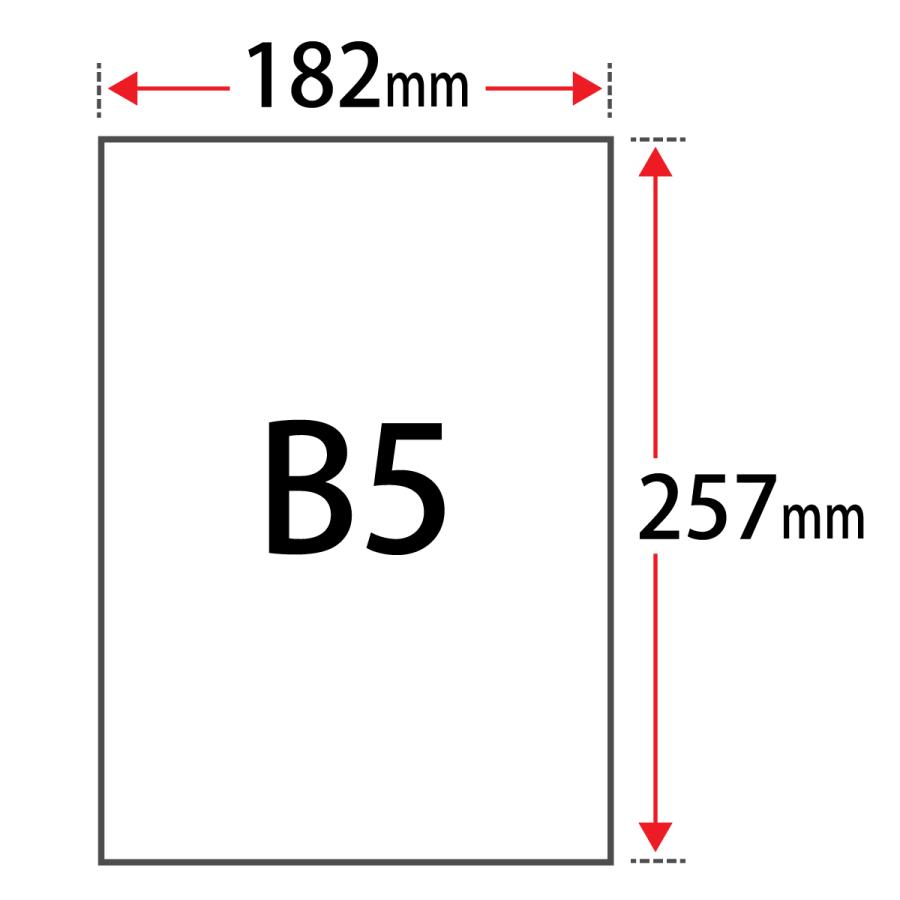 手帳用紙 「クリーム」 52g 平米 B5サイズ：4000枚 印刷紙 印刷用紙 松本洋紙店