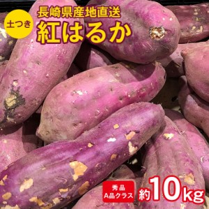 産地直送 長崎県産 長崎紅はるか 秀品 A品クラス 約10kg 送料無料 長崎県 長崎 さつまいも サツマイモ さつま芋 芋 焼き芋 紅はるか 甘い