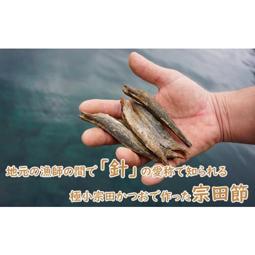 ふるさと納税 静岡県 沼津市 沼津産天然だしパック「駿河湾ブレンド」と手作りだし醤油用「宗田節」のセット