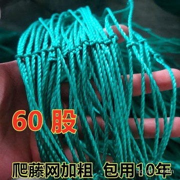 🔥臺灣出貨🔥植物爬藤網絲瓜苦瓜瓜蔞葡萄百香果爬藤網攀爬網藤蔓植物搭架網hhfoof