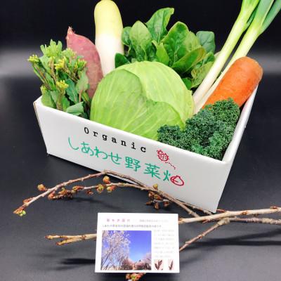 ふるさと納税 掛川市 於愛の方 ふるさとの味 オーガニック野菜セット (旬の有機野菜) Sセット