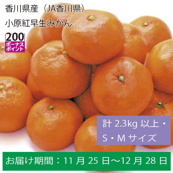 香川県産（JA香川県）小原紅早生みかん計2.3Kg以上・S・Mサイズ