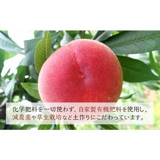 ふるさと納税 大分県 由布市 ＜旬の桃おまかせ2kg・6〜8玉＞×2回（自家製有機肥料・減農薬・化学肥料無使用）