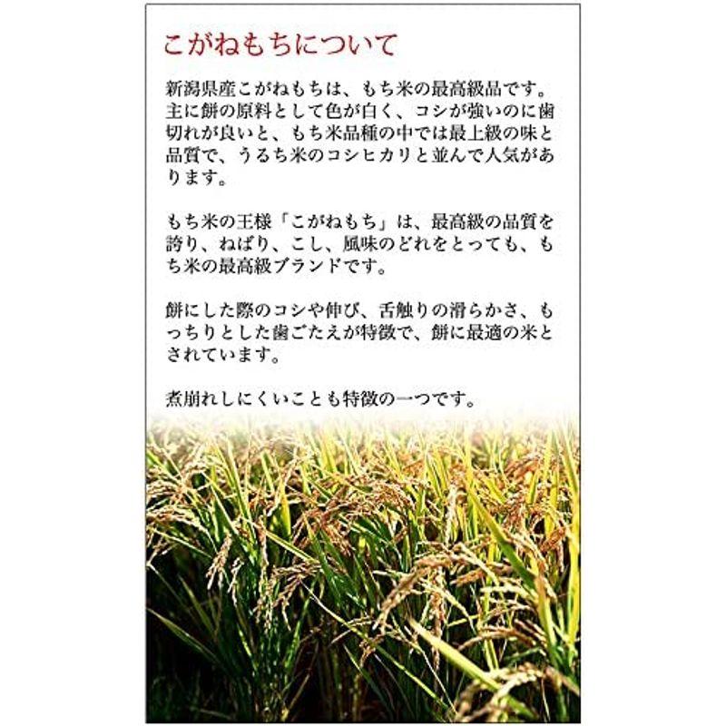 新潟人気土産和スイーツこだわりのちまき（きな粉付）10個入 自社栽培最高級こがねもち100％使用