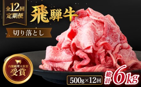 ＼贅沢な味わいをご家庭で／ 切り落とし 総計6kg 〈1回あたり〉500g (250g×2) 国産 ブランド牛 和牛 BBQ キャンプ  [TDC012]