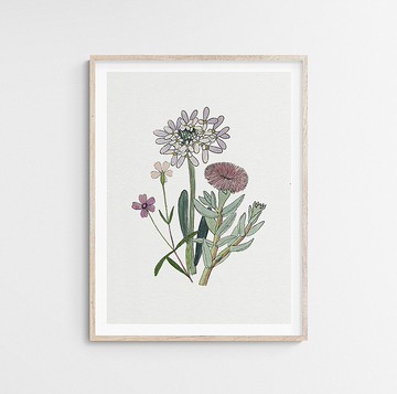 植物藝術印刷海報印刷家居裝飾畫