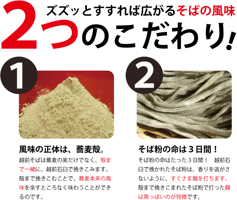 年越しそば  越前そば 4食 越前蕎麦 そばつゆ 付き お土産 そば 蕎麦 ((冷蔵))