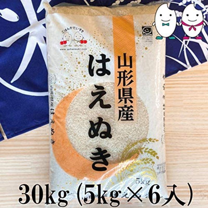 お米 30kg(5kg×6) 山形県産はえぬき 令和4年産