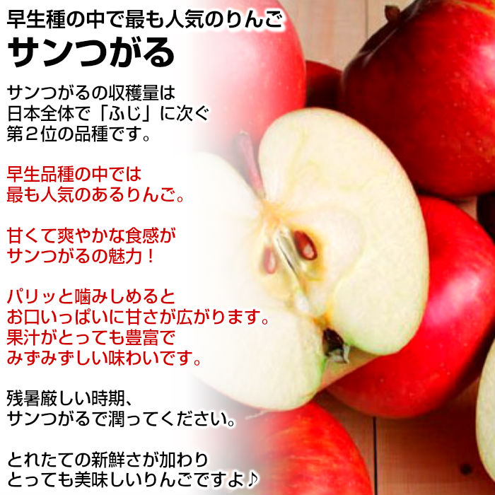 [最短順次発送]  サンつがる １６玉-２０玉（中大玉） ５kg箱 りんご 長野県産 青森県産