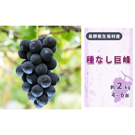 ふるさと納税 長野県 生坂村 2024年先行予約 種なし巨峰4〜6房入り約1.7〜2kg