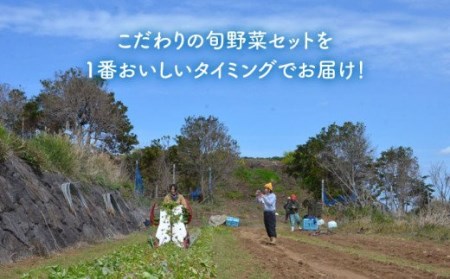 五島列島の旬野菜セット7?10品目 おまかせ おたのしみ 詰め合わせ 五島市 五島のやぁしゃ便 [PBG002]