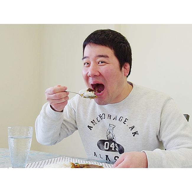 馬鹿ヤローカレー 2個セット (馬肉とエゾ鹿肉使用)思わず「バカヤロー」と叫びたくなるウマさ ご当地カレー