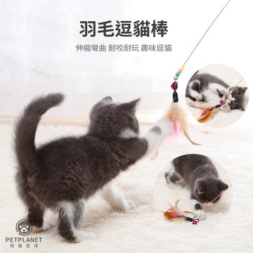 【萌寵星球】現貨雙色羽毛鋼絲逗貓棒/羽毛鈴鐺逗貓玩具寵物用品/劍麻球/帶羽毛劍麻球/劍麻逗貓球/可磨抓貓咪玩具