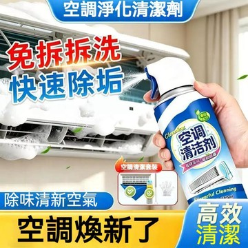 現貨🔥隔日達🔥家用冷氣去污清潔劑 冷氣清洗劑 活性炭 去異味 除臭去黴味 清新劑 免拆免洗 內機外機滌塵 適用多種空調