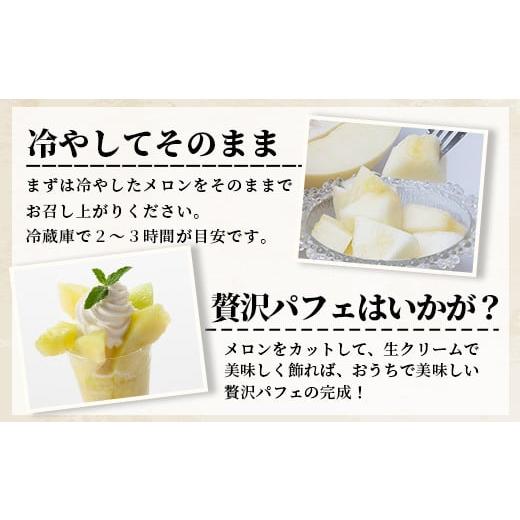 ふるさと納税 熊本県 多良木町 熊本県産 ホームランメロン 2玉 約3kg 【 令和6年 ご予約 メロン フルーツ 果物 熊本 多…