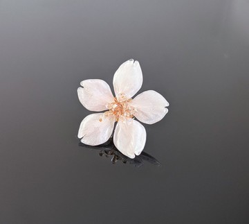 Everpink 永生花  真花 早開的櫻花 胸针　胸針　別針　静止的
