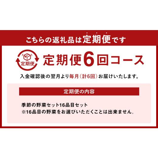 ふるさと納税 熊本県 八代市  季節の野菜セット 16品目