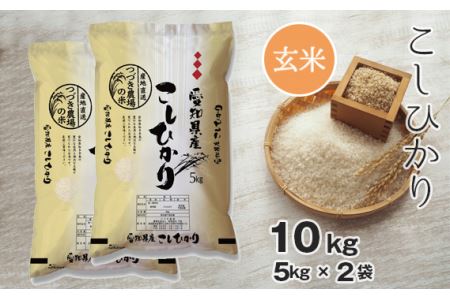 No.096  令和5年産 つづき農場のコシヒカリ 10kg