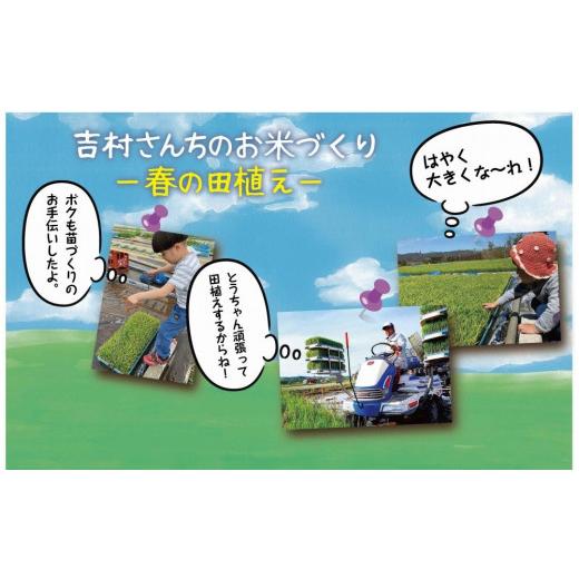 ふるさと納税 新潟県 十日町市 ｜従来品種｜ 魚沼産 コシヒカリ 5kg ×3袋 計15kg 米 こしひかり お米 コメ 新潟 魚沼 魚沼産 白米 送料無料 新潟県産 精米 産…