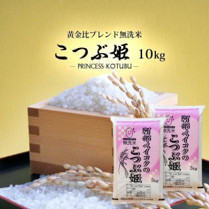 無洗米 10kg (5kg×2) 送料無料 (地域限定) こつぶ姫 安い 10キロ 山形県産 米 お米