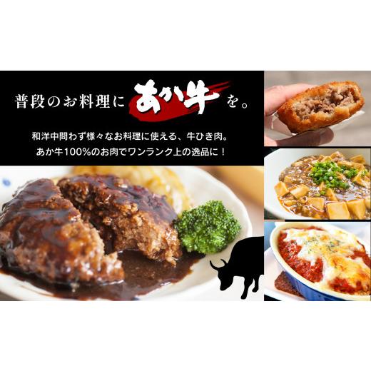 ふるさと納税 熊本県 和水町 本場熊本！あか牛ミンチ 1000g