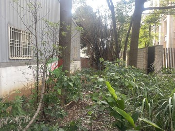 新竹近光武國中建地｜新竹市新竹市光武段
