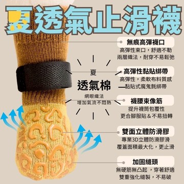 【雙12限定】免運＋贈腳貼 DoggyWalker最小雙面止滑襪 僅3.8公分寬 雙面止滑 超透氣夏季棉 止滑面積加大
