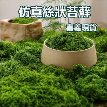 【隔日到貨 現貨】 大包仿真絲狀苔蘚 人造假青苔 假草絲 微景觀佈置草絲 盆景盆栽苔癬 假鮮苔 假苔蘚 假青苔 寶來小舖