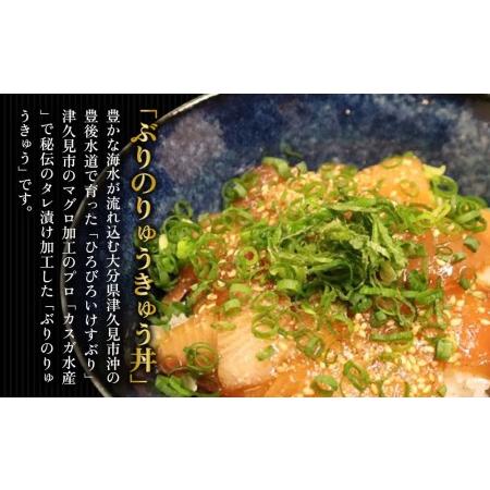 ふるさと納税 ぶり・ひゅうが丼セットぶりのりゅきゅう100g×4P・マグロ(ひゅうが丼)120g×4P 鮪丼 まぐろ 大分県産 九州産 津久見市 .. 大分県津久見市