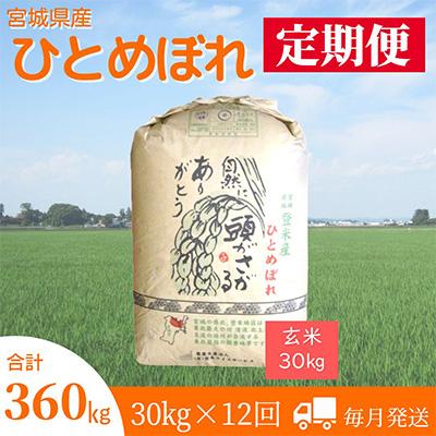 ふるさと納税 登米市 2024年1月発送開始『定期便』宮城県登米市産ひとめぼれ(玄米)30kg全12回