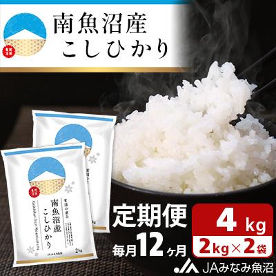 ふるさと納税 南魚沼市 南魚沼産こしひかり 精米 4kg(2kg×2袋)全12回